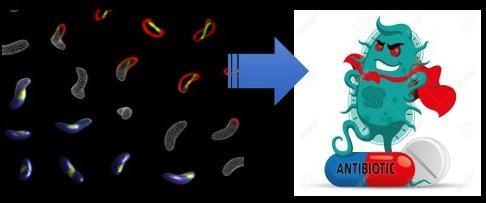 novel drugs for superbugs